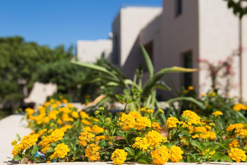 Sundance Apartments & Suites Limenas Chersonisou Exterior foto